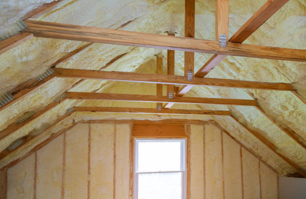 Best Insulation Inspection Services  in USA